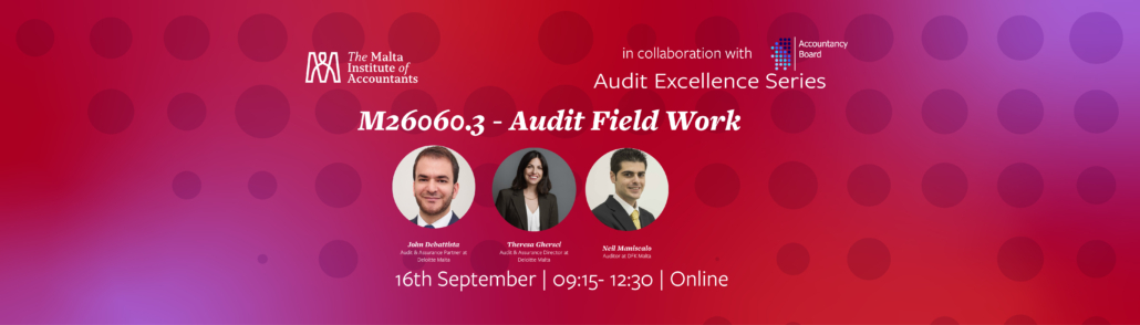 M26060.3 – Audit Field Work (Online)